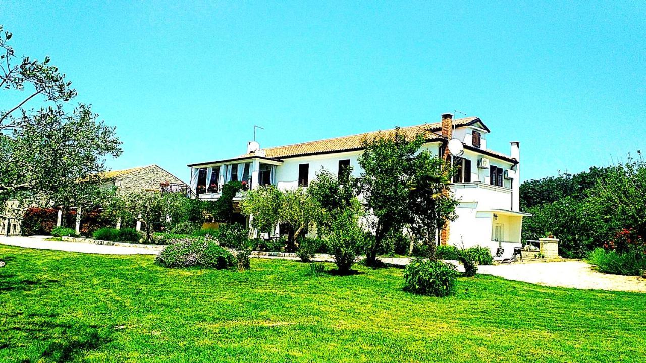 Relax Zone Apartment Umag