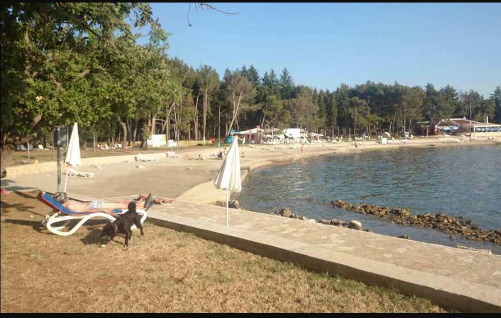 Relax Zone