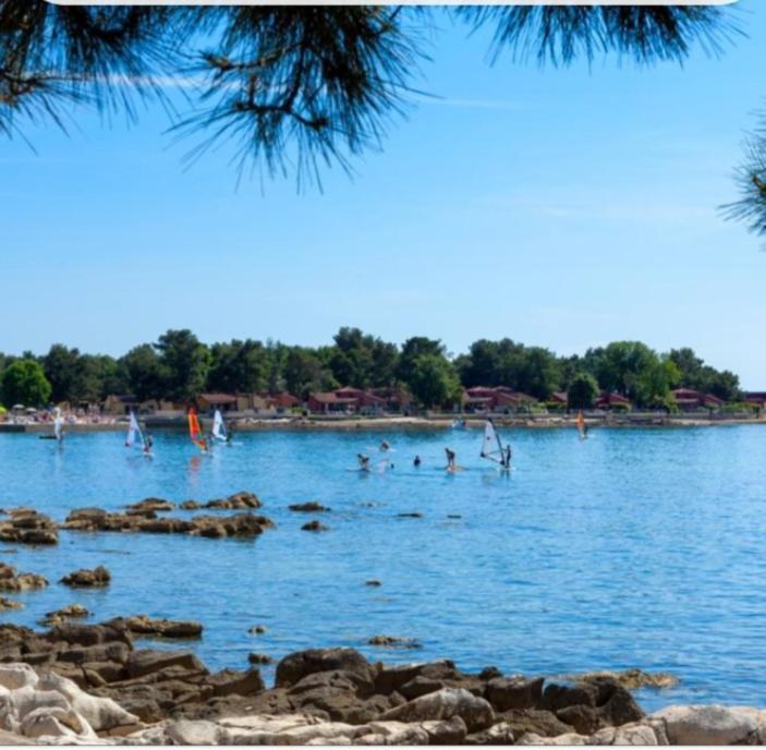 Relax Zone Umag