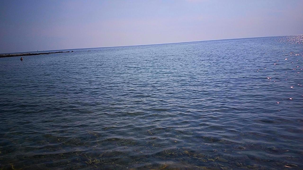 Relax Zone Apartman